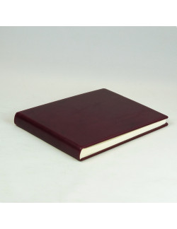 Álbum color burdeos
