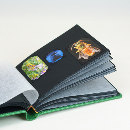 Album de Fotos Horizontal pequeño