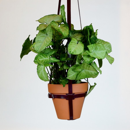 Macetero en color burdeos