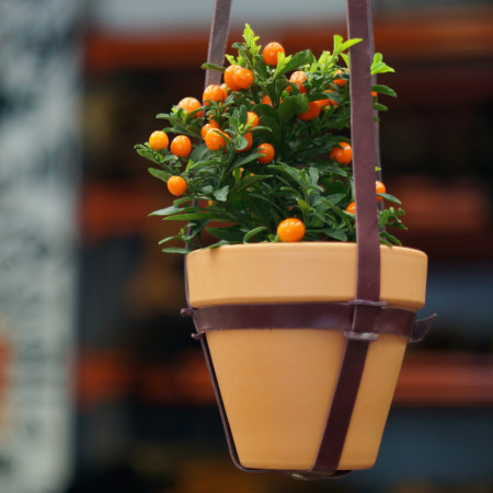 Macetero en color burdeos