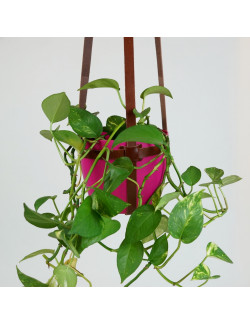 Macetero en color tabaco